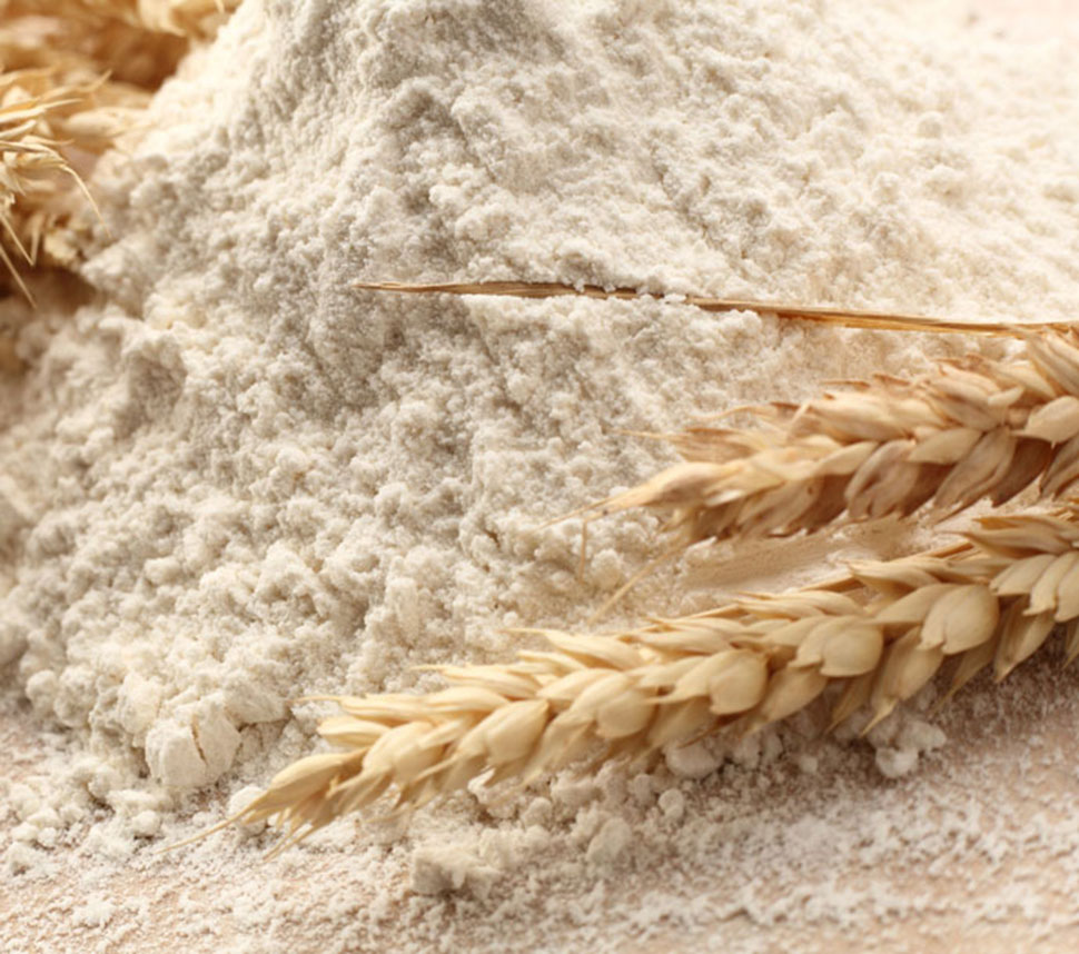 Organic ancient wheat flour