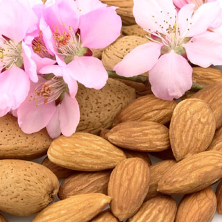 Organic Almonds