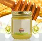 Miele Biologico di Arancio Bio