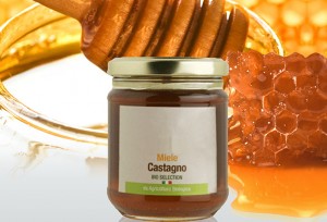 Miele Biologico di Castagno