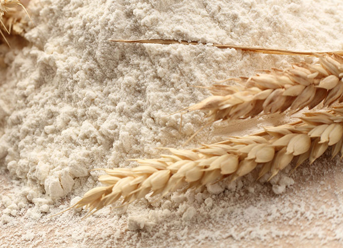 Farina Biologica di Grano Russello