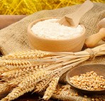 Farina Biologica di Grano Timilia