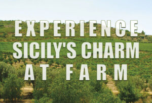 Organic Farm Visit in Sicily Italy